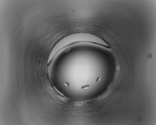 X0000112360096200908201513