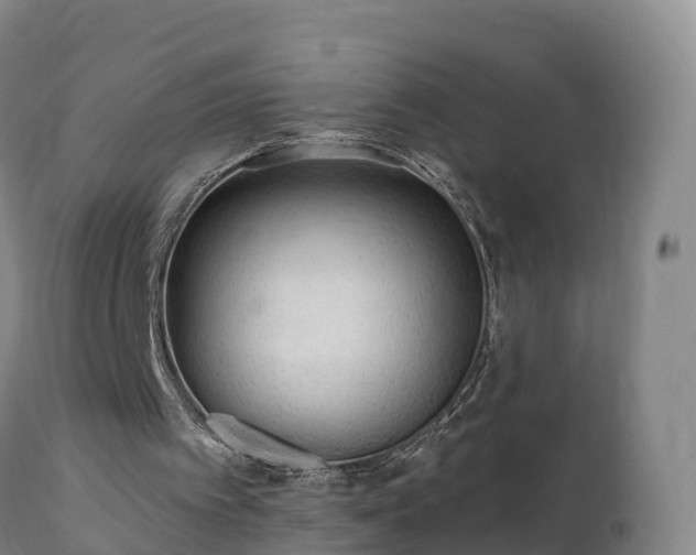 X0000112360097200908201512