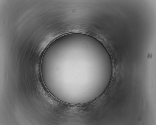 X0000112360098200908201512