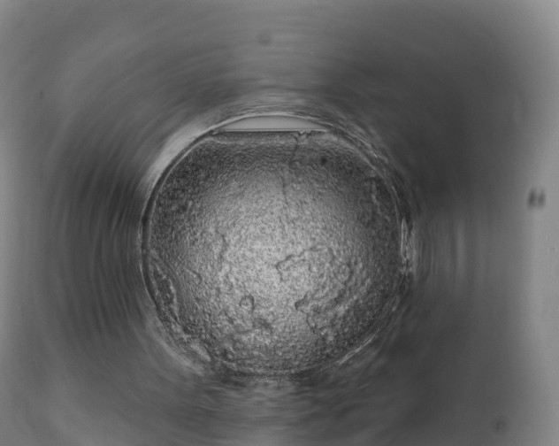 X0000112360099200908201512