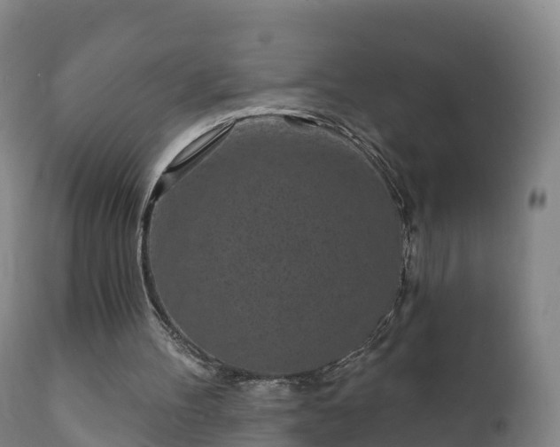 X0000112360100200908201512