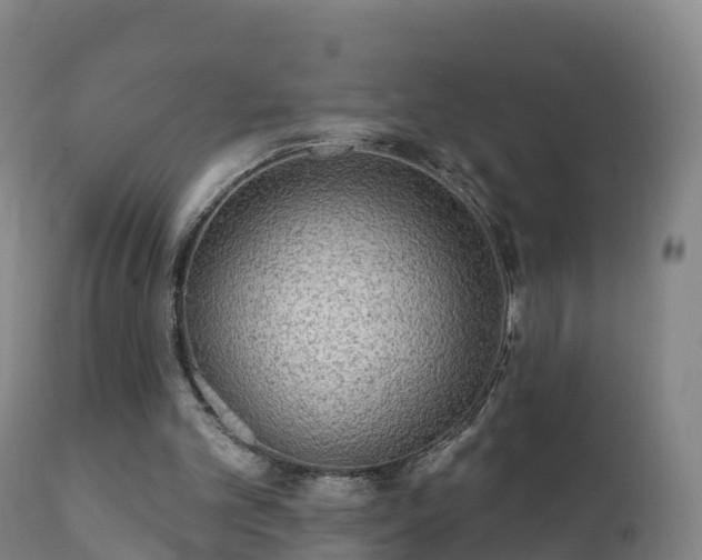 X0000112360101200908201512