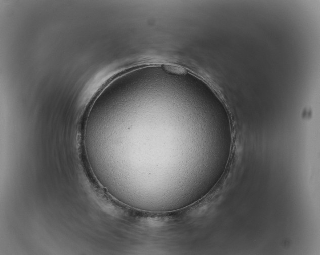 X0000112360103200908201512