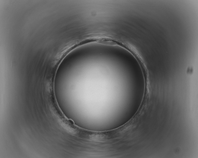 X0000112360105200908201512