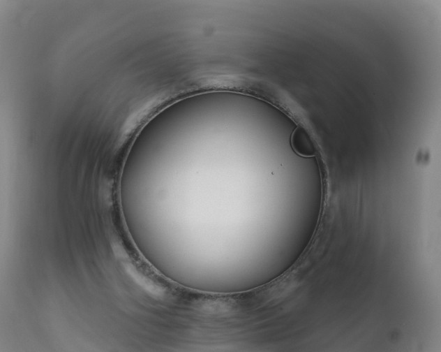 X0000112360106200908201512