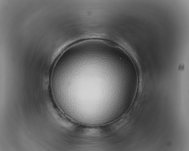 X0000112360107200908201512