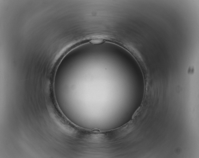 X0000112360108200908201512