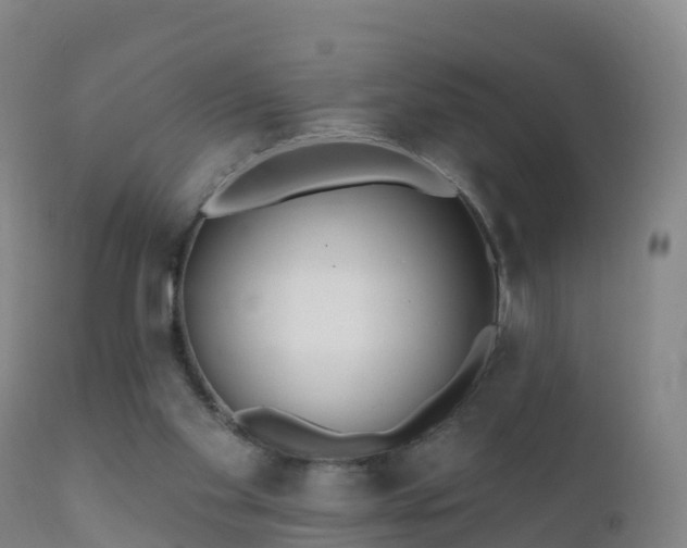 X0000112360109200908201512