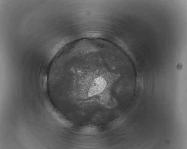 X0000112360110200908201512