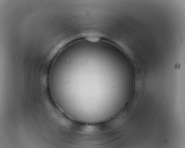 X0000112360111200908201512