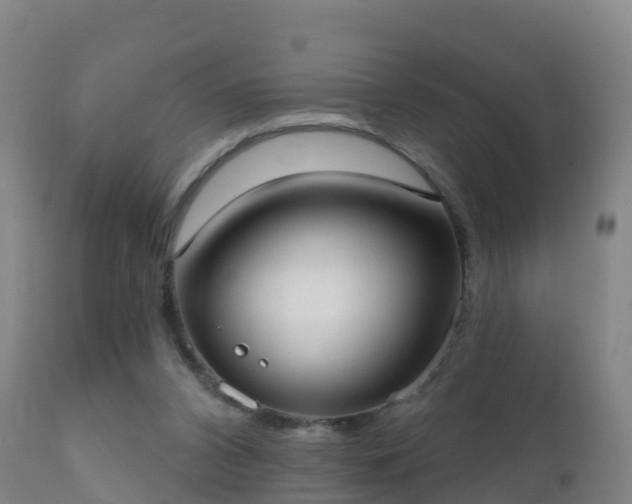 X0000112360112200908201512