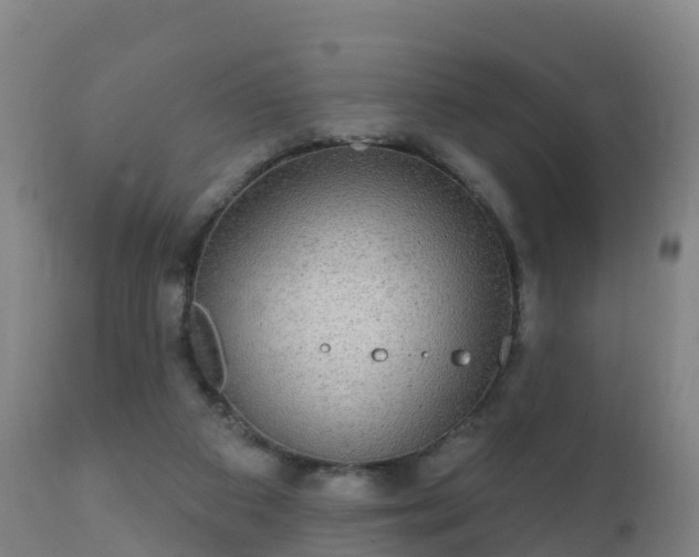 X0000112360113200908201512