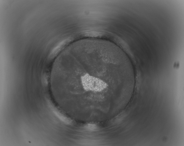 X0000112360114200908201512