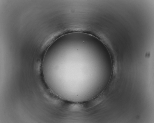 X0000112360115200908201512