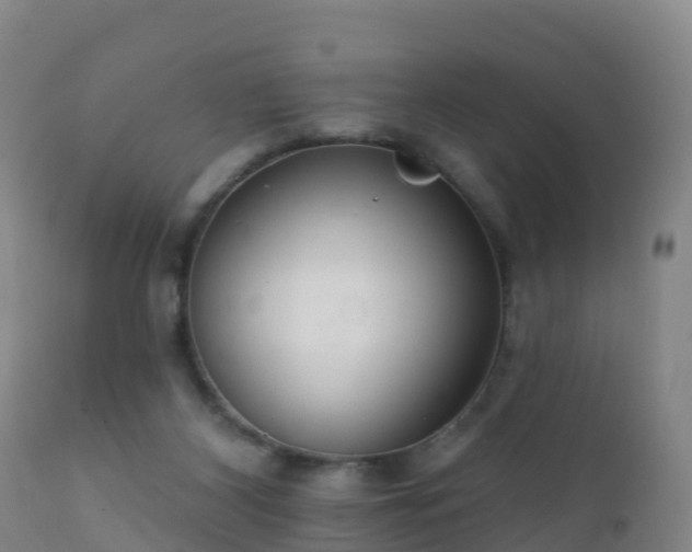 X0000112360116200908201512