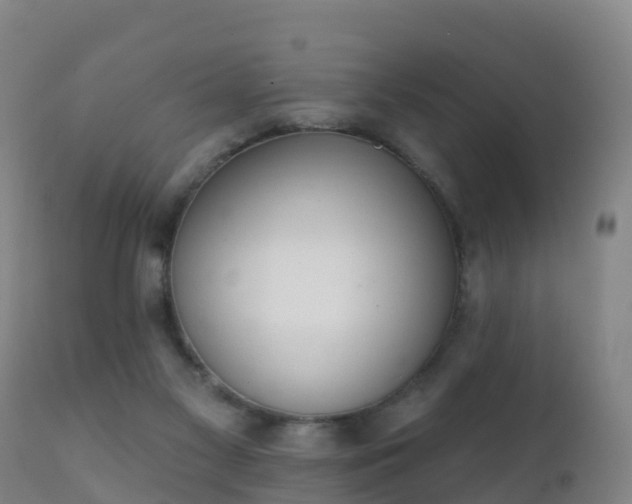 X0000112360117200908201512