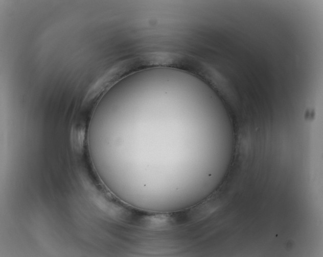 X0000112360118200908201512