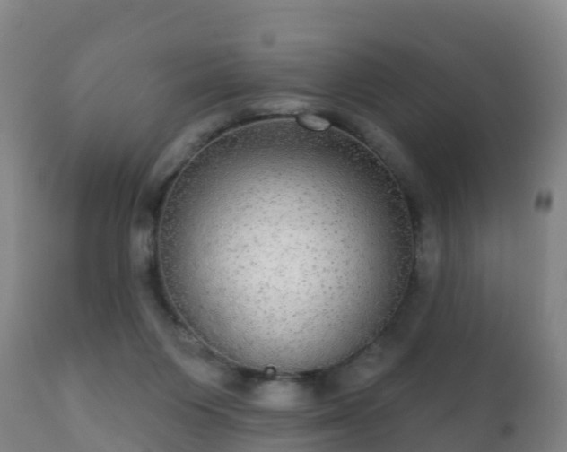 X0000112360119200908201512