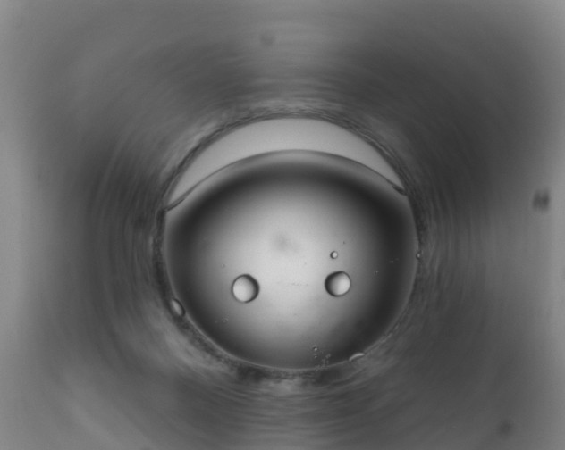 X0000112360120200908201512