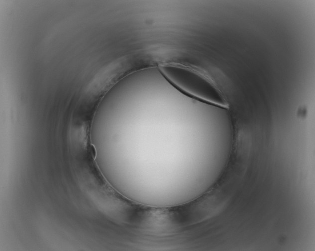 X0000112360121200908201512