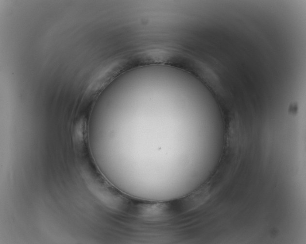 X0000112360122200908201512