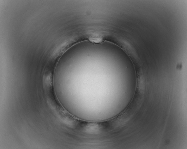 X0000112360123200908201512