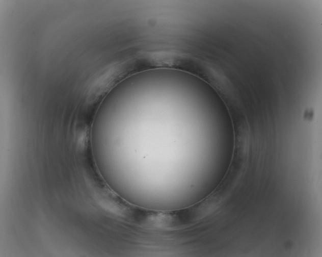 X0000112360125200908201512