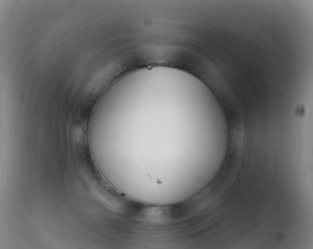 X0000112360126200908201512