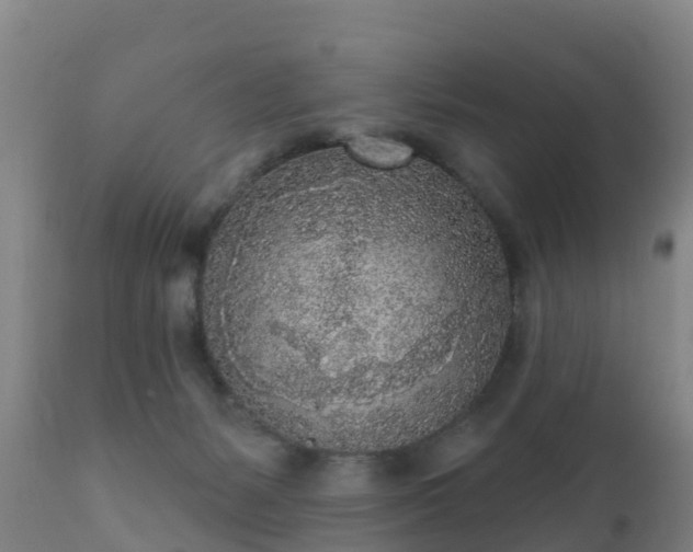 X0000112360127200908201512