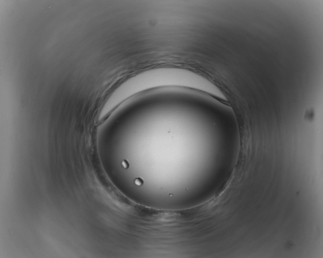 X0000112360128200908201512