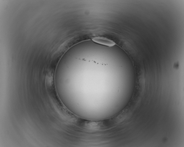 X0000112360129200908201512