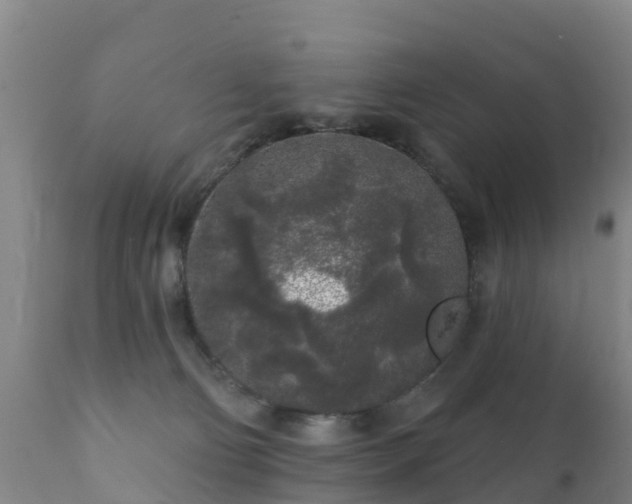 X0000112360130200908201512