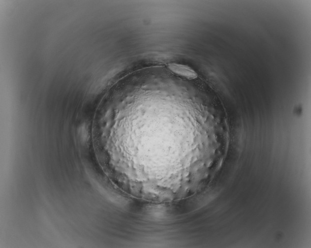 X0000112360131200908201512