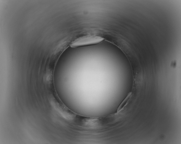 X0000112360132200908201512