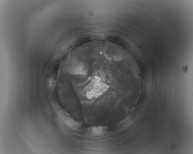 X0000112360134200908201512