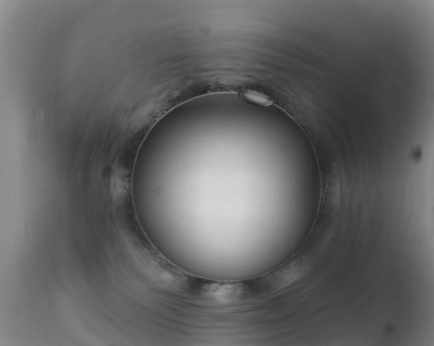 X0000112360135200908201512