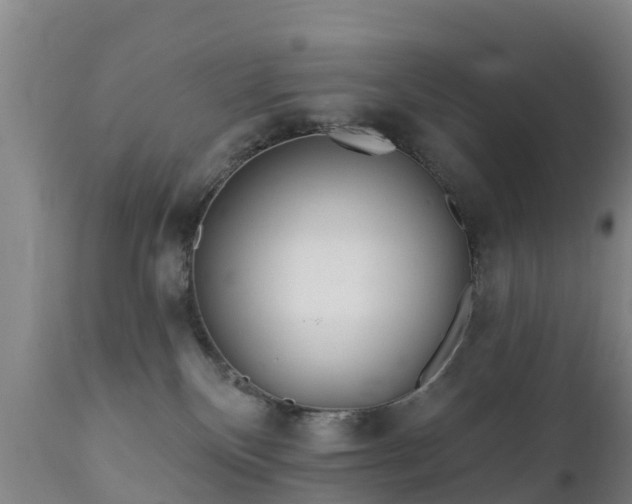 X0000112360136200908201512