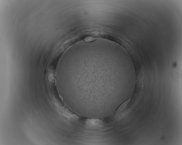 X0000112360137200908201512