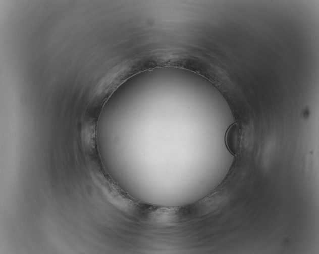 X0000112360138200908201512