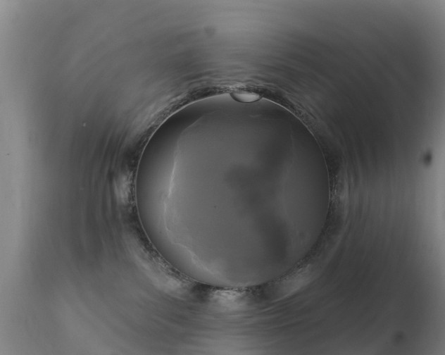 X0000112360139200908201511