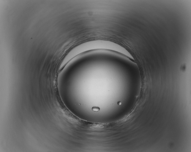 X0000112360140200908201511