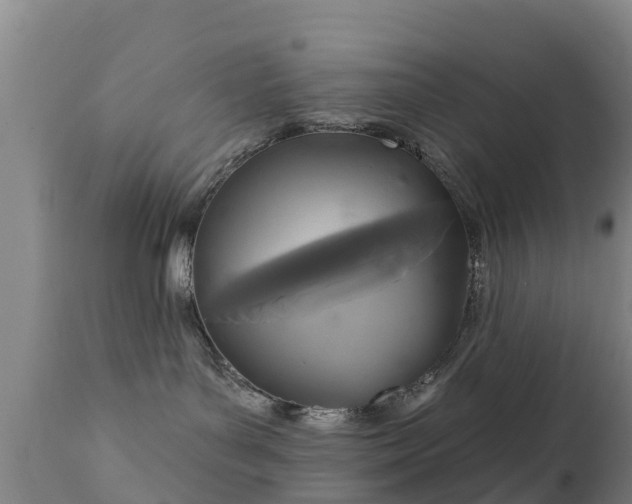 X0000112360143200908201511