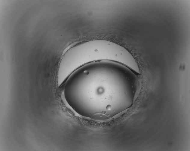 X0000112360144200908201511