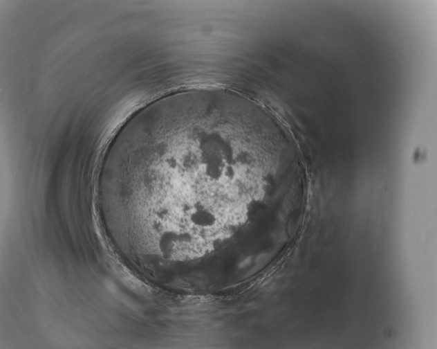 X0000112360145200908201511