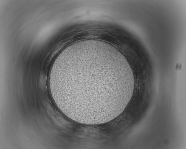 X0000112360146200908201511