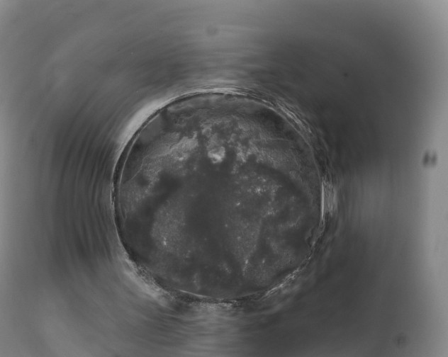 X0000112360147200908201511