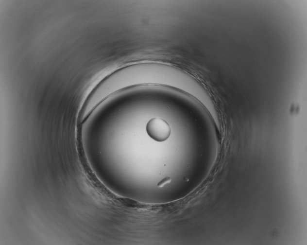 X0000112360148200908201511