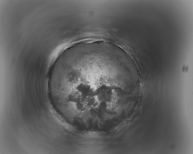 X0000112360149200908201511