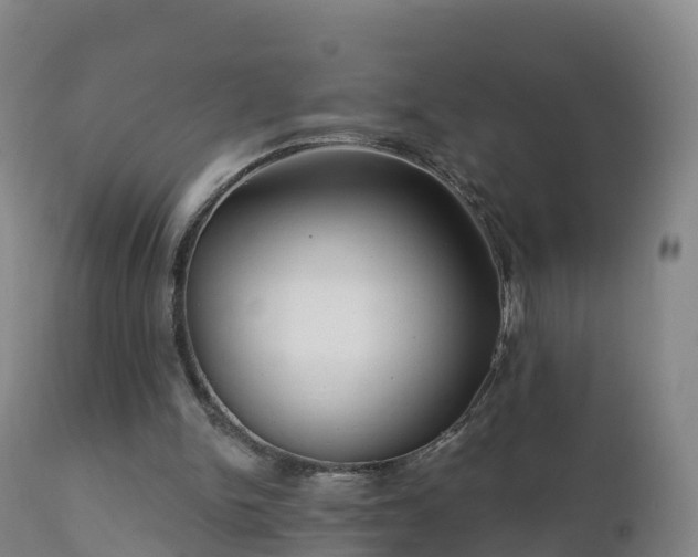 X0000112360150200908201511