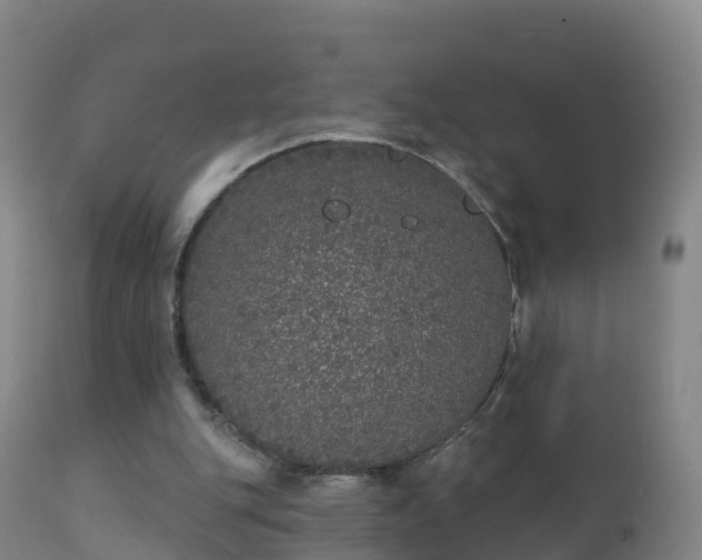 X0000112360151200908201511